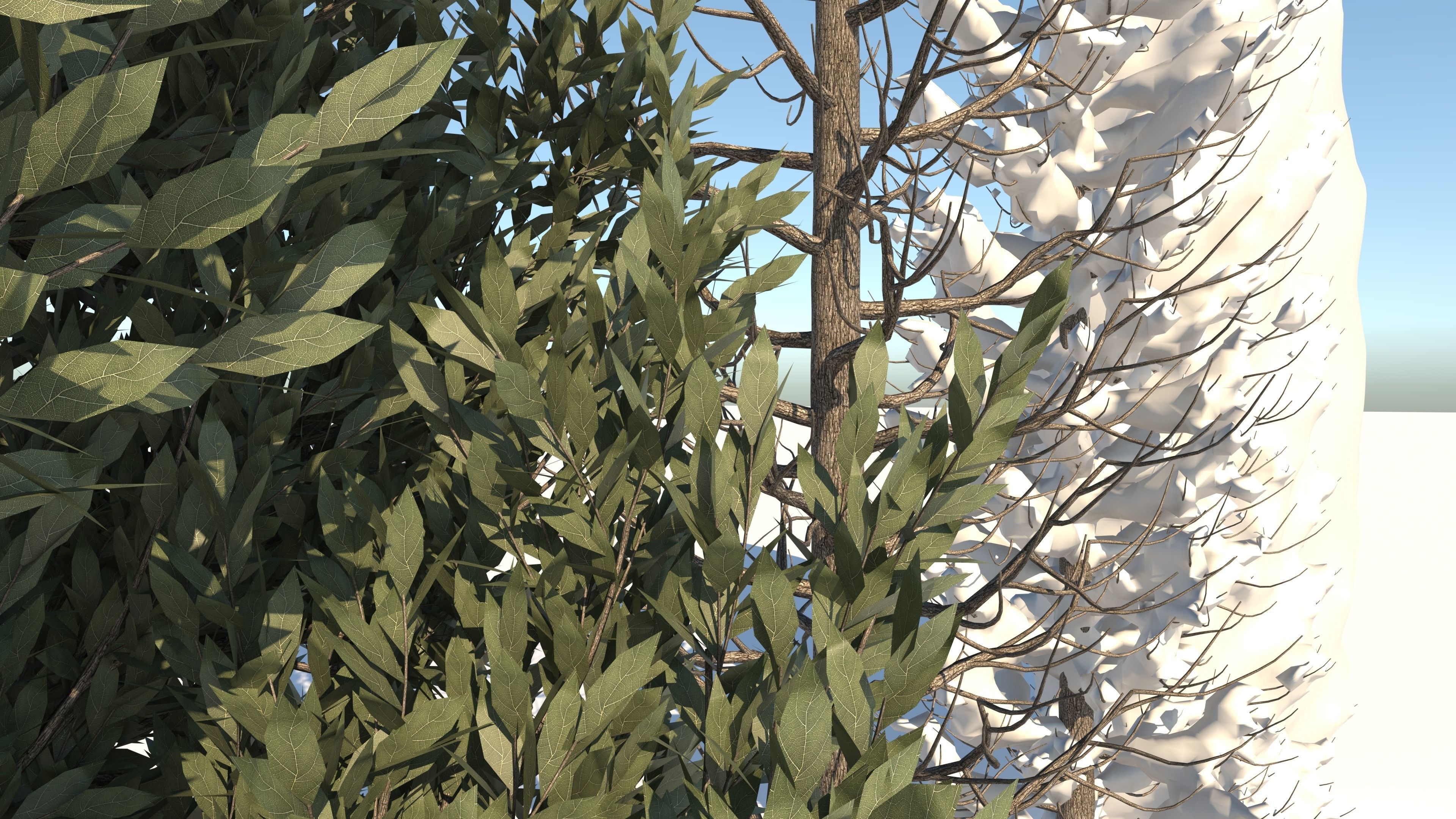  Tuscan Cypress Season Tree Collection 3D model_10