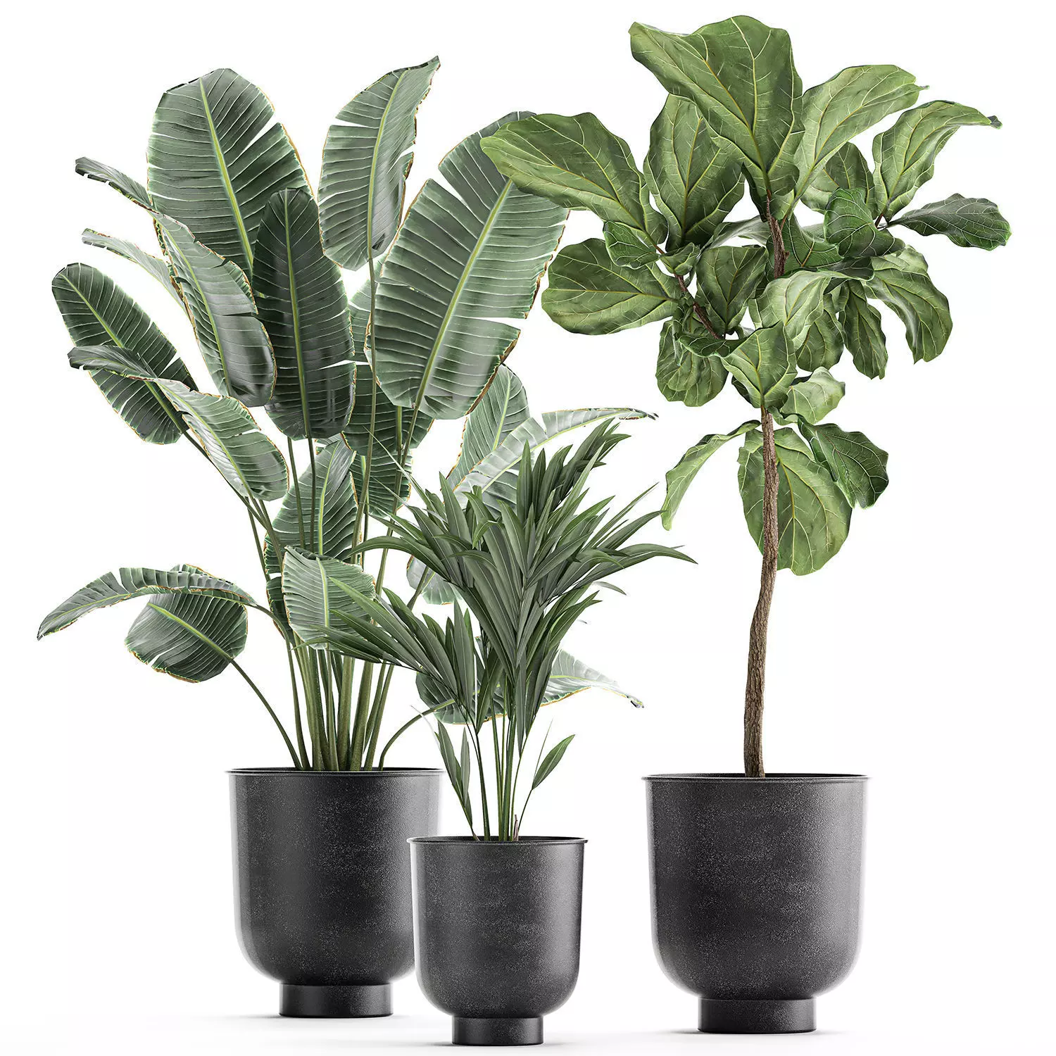 Decorative plants in flowerpots 832 3D model