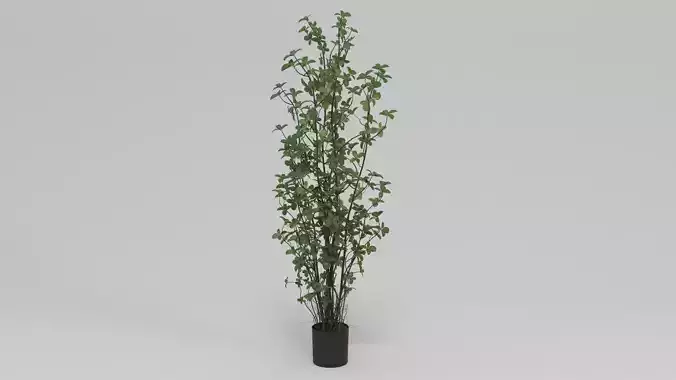 Faux Rubber Tree With Pot 60 Green