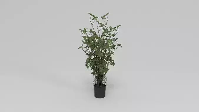 Faux Rubber Tree With Pot 36 Green