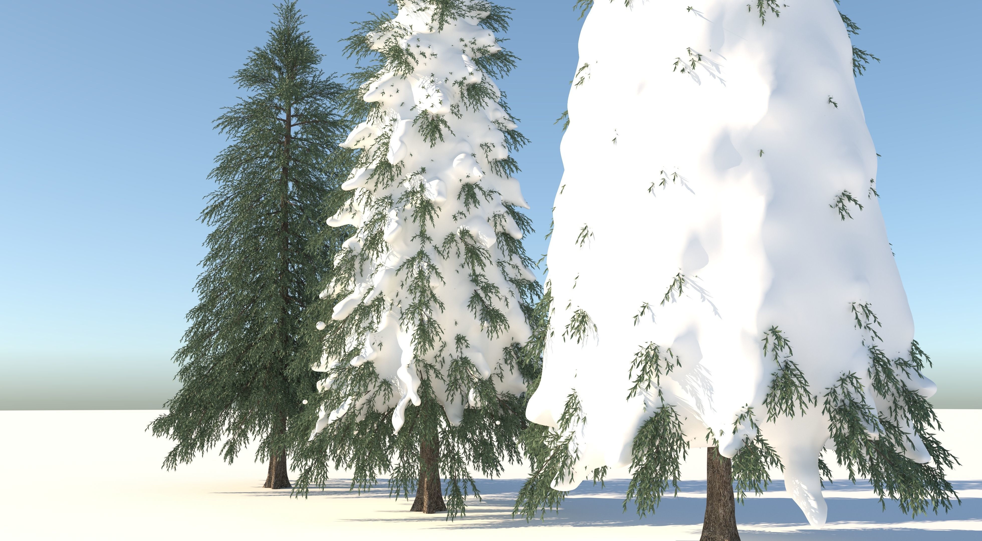 Fraseri tree Collection 3D model_7