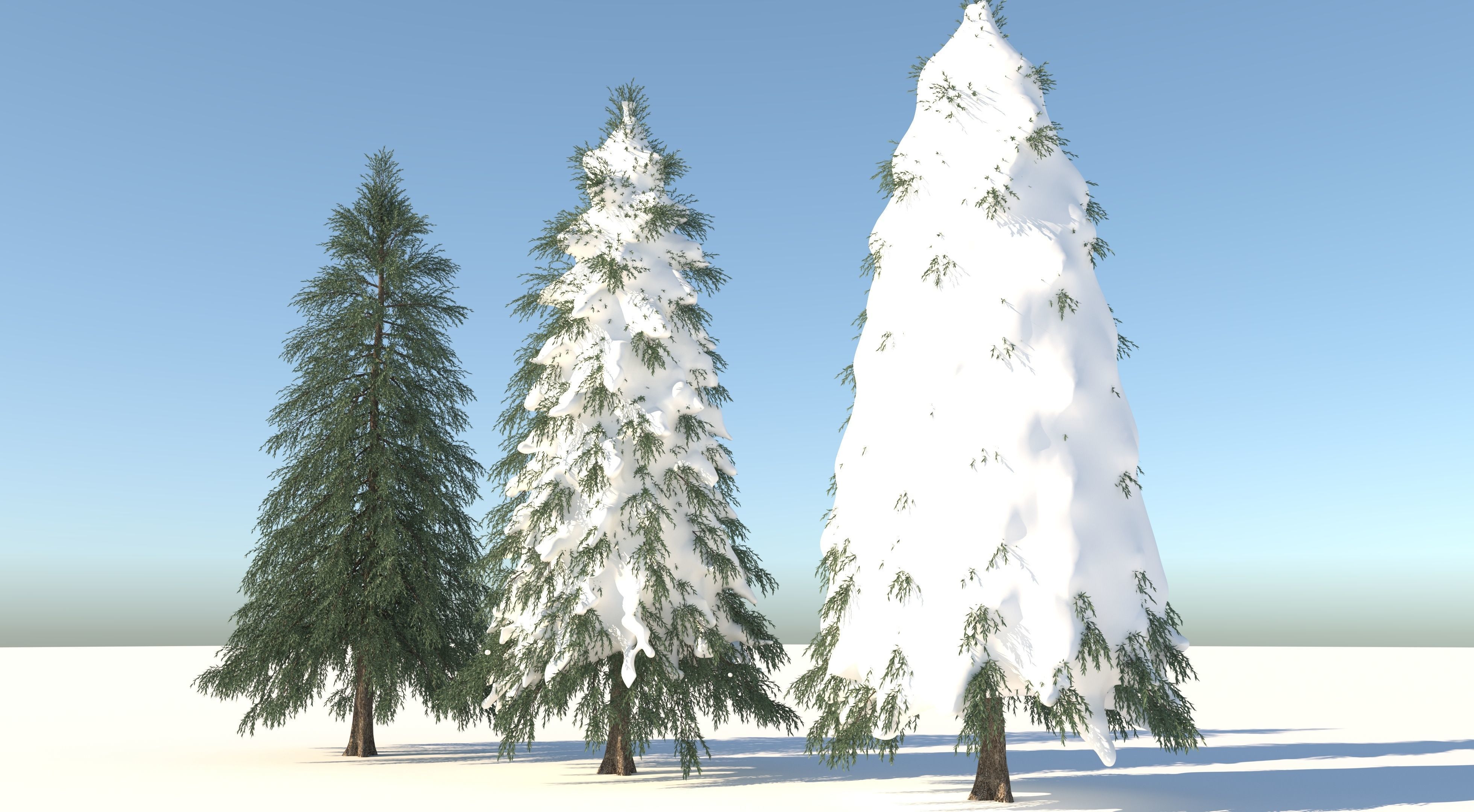 Fraseri tree Collection 3D model_2