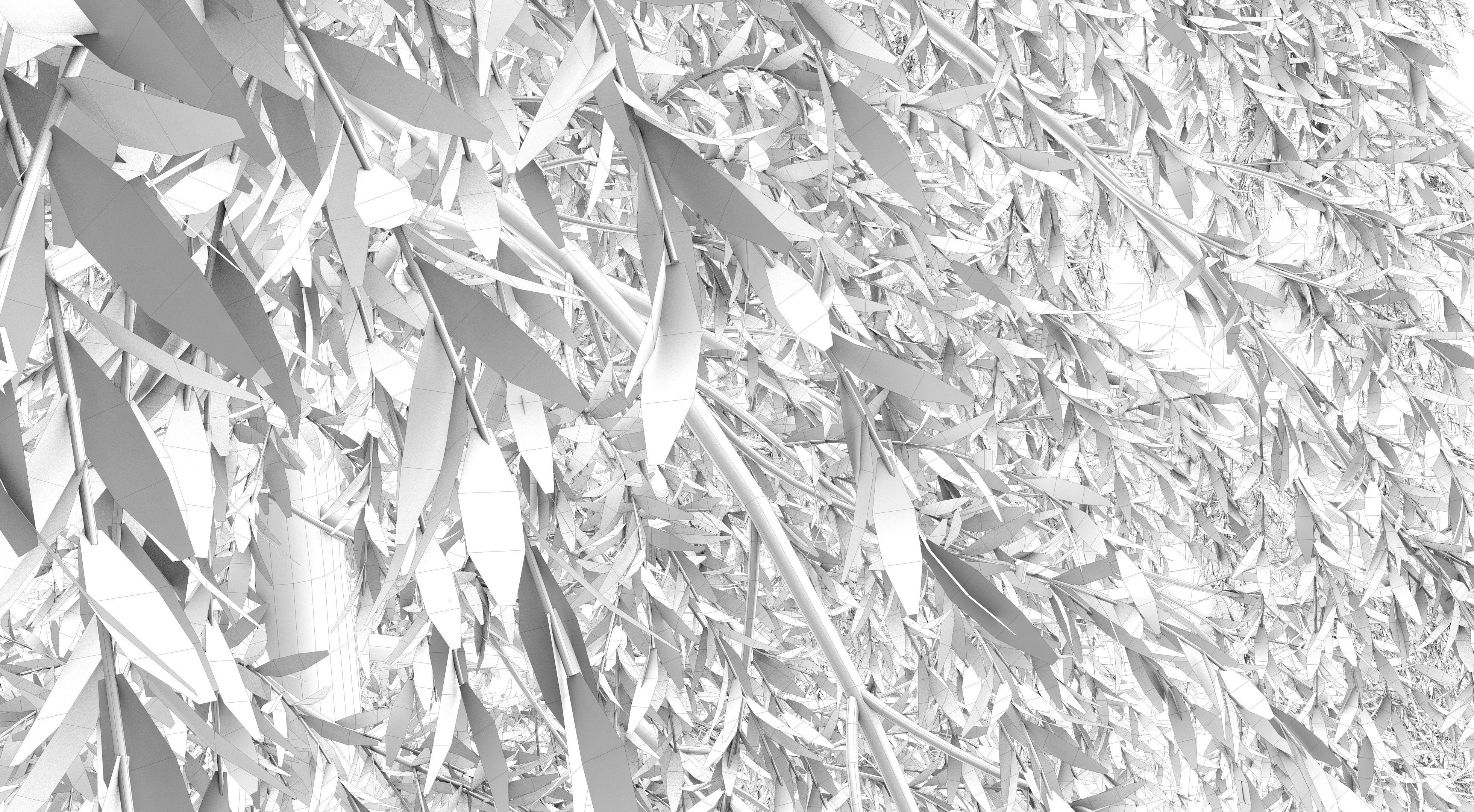 Fraseri tree Collection 3D model_14