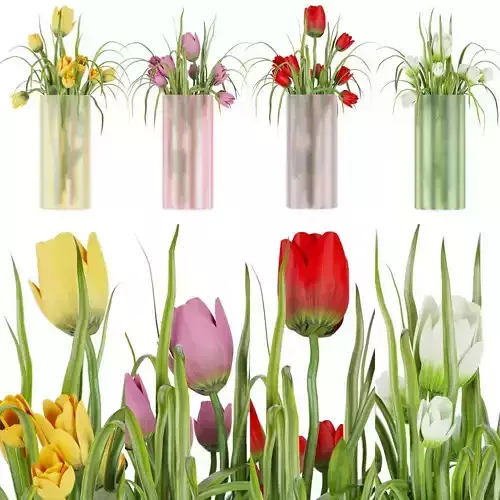 Collection plant vol 44