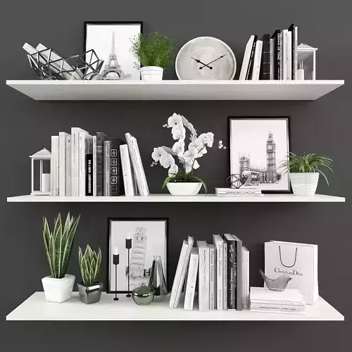 Decorative set bookshelves with plants and vases Low-poly 3D model