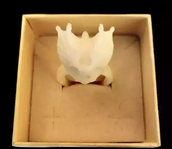 Dragon Wings - Printer ready ring