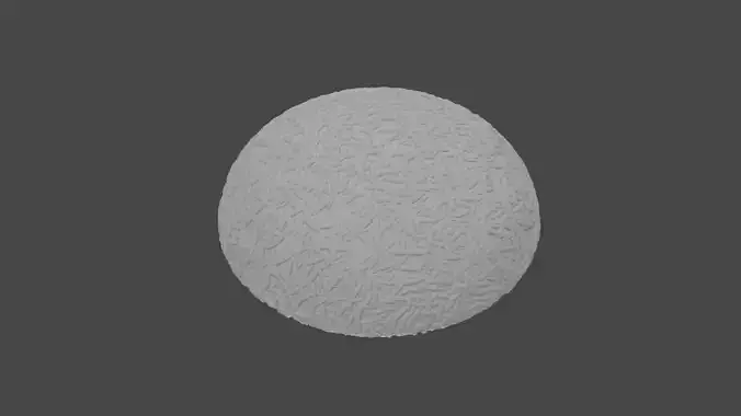 A 3D White Rice