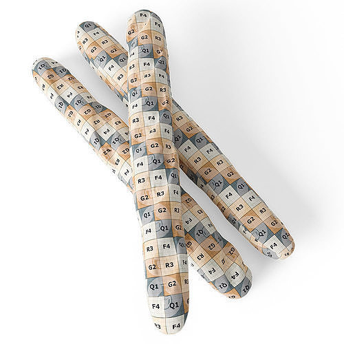 French Bread 3D model 7