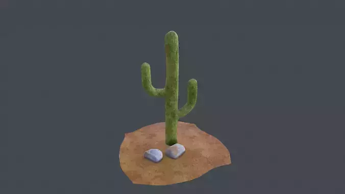 low poly cactus