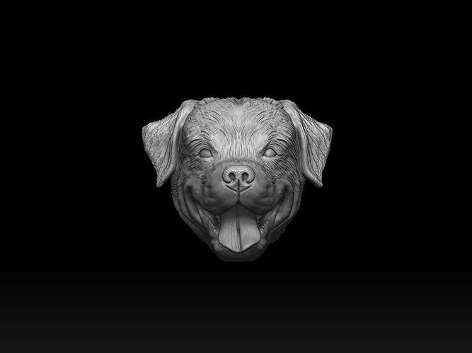 Rottweiler dog head 3d print model  3D print model