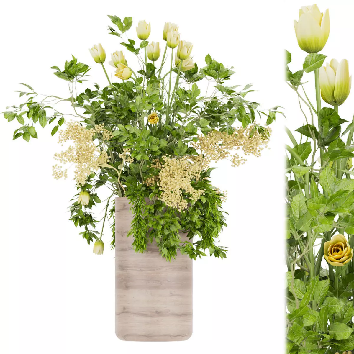 Collection plant vol 49 3D model