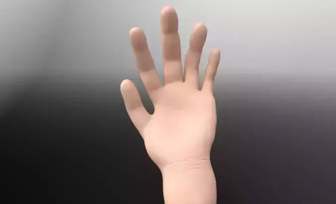 hand and fingers