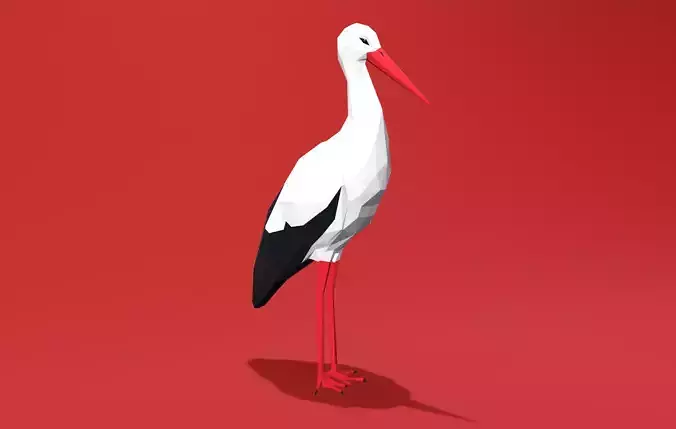White Stork Cartoon