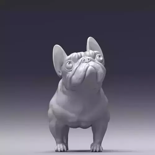 French bulldog 3D print model