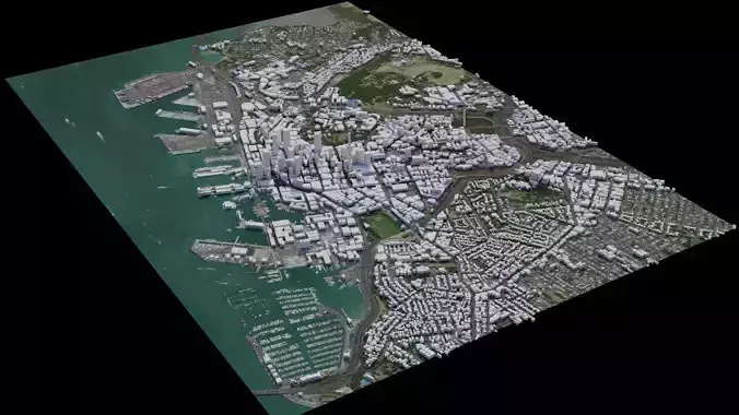 Auckland - New Zealand