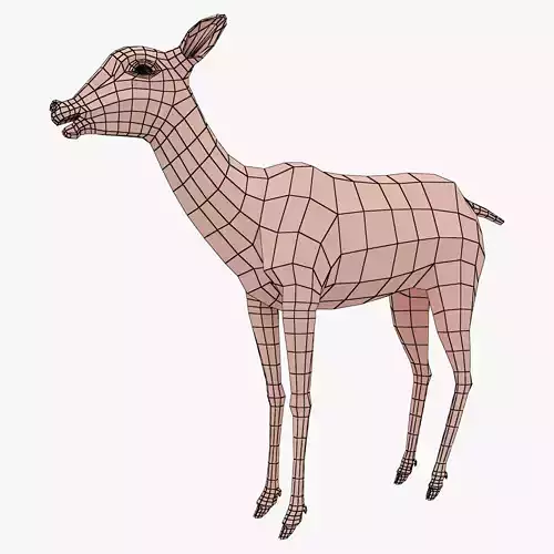 deer base mesh
