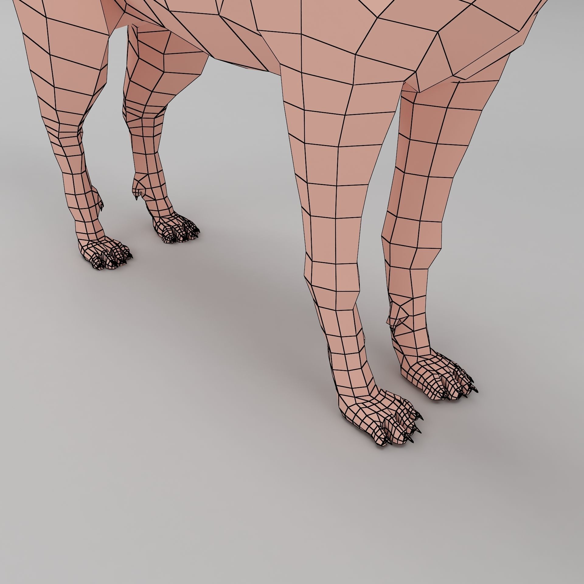 wolf base mesh Low-poly 3D model_8