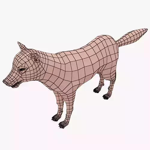 wolf base mesh