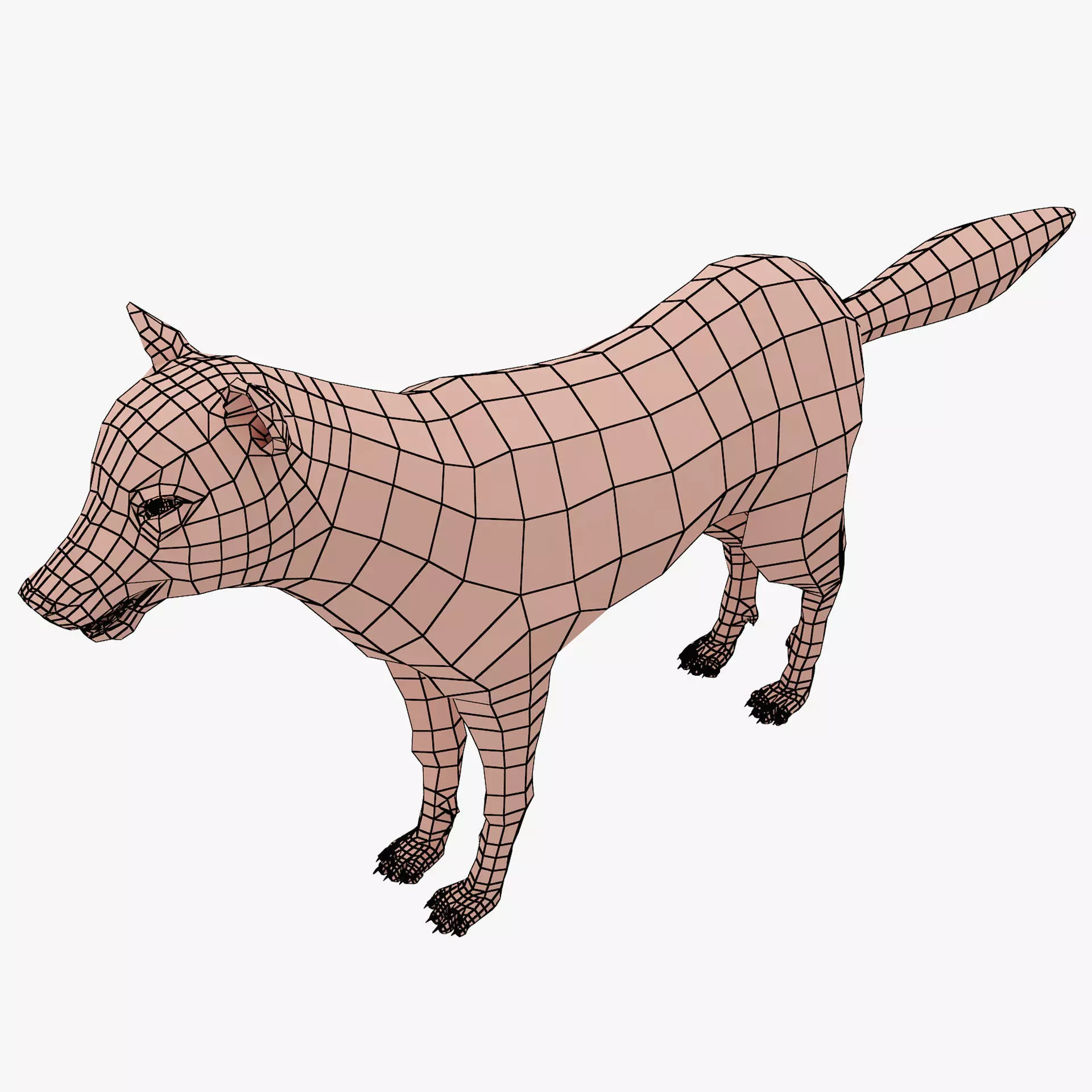 wolf base mesh Low-poly 3D model_0