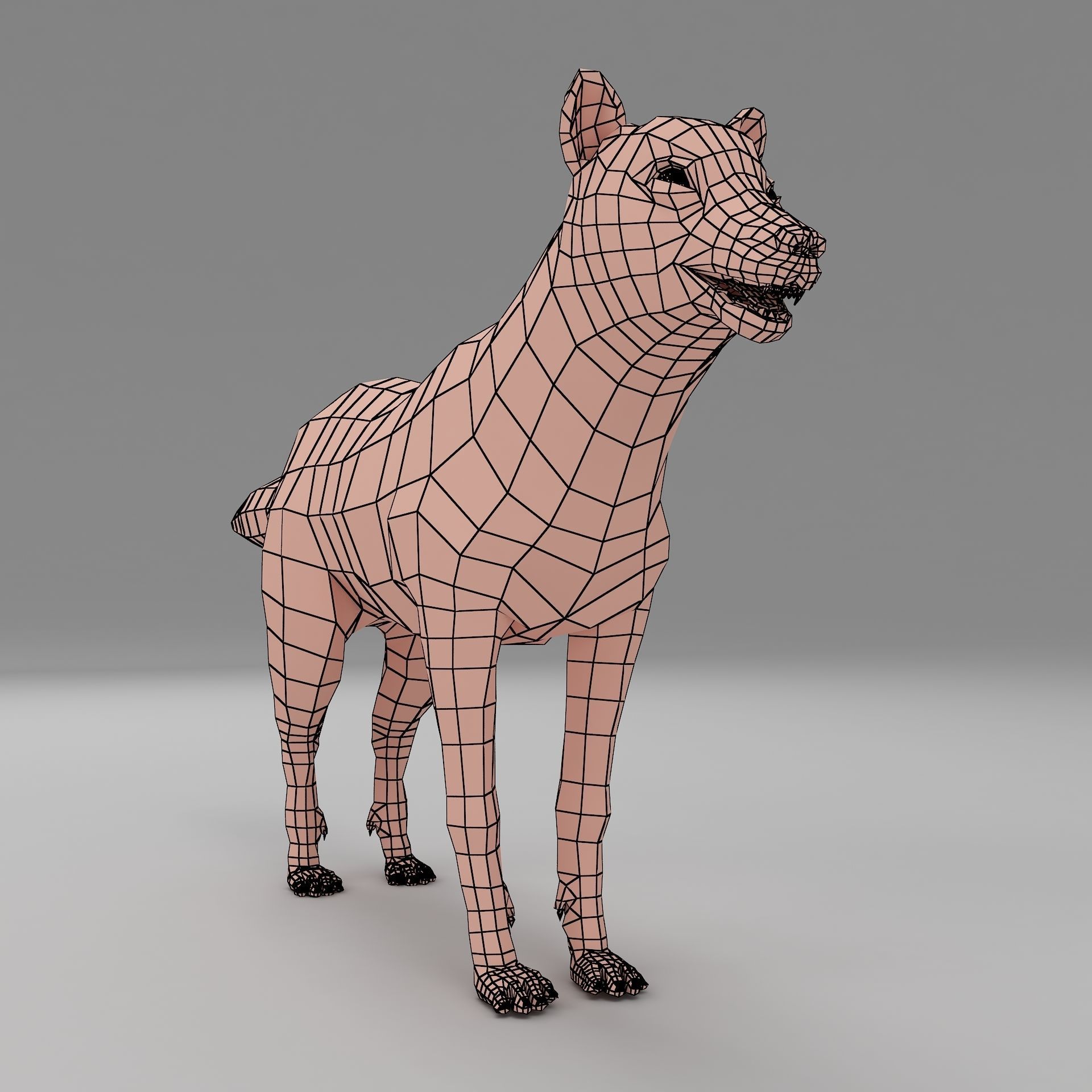 wolf base mesh Low-poly 3D model_4