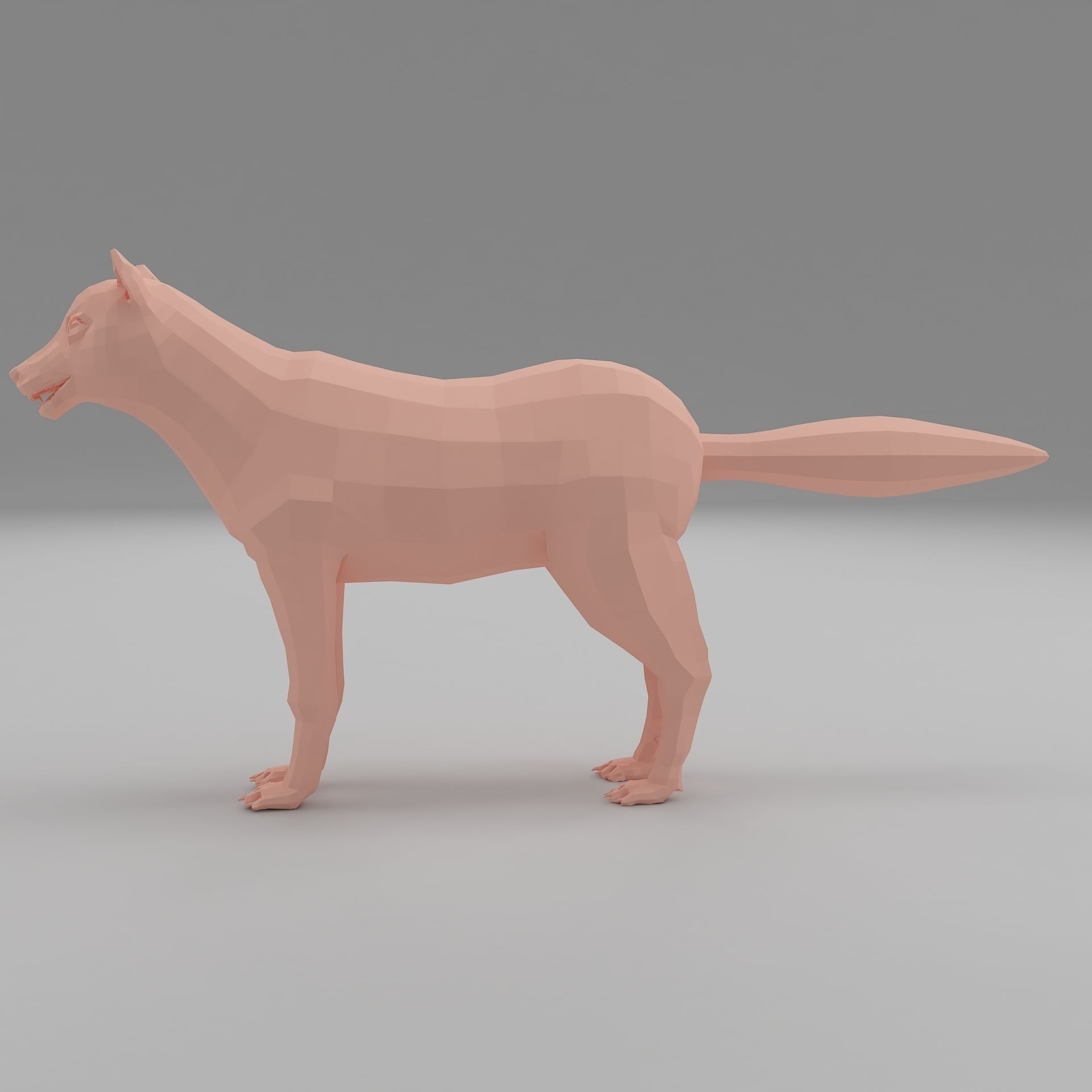 wolf base mesh Low-poly 3D model_3