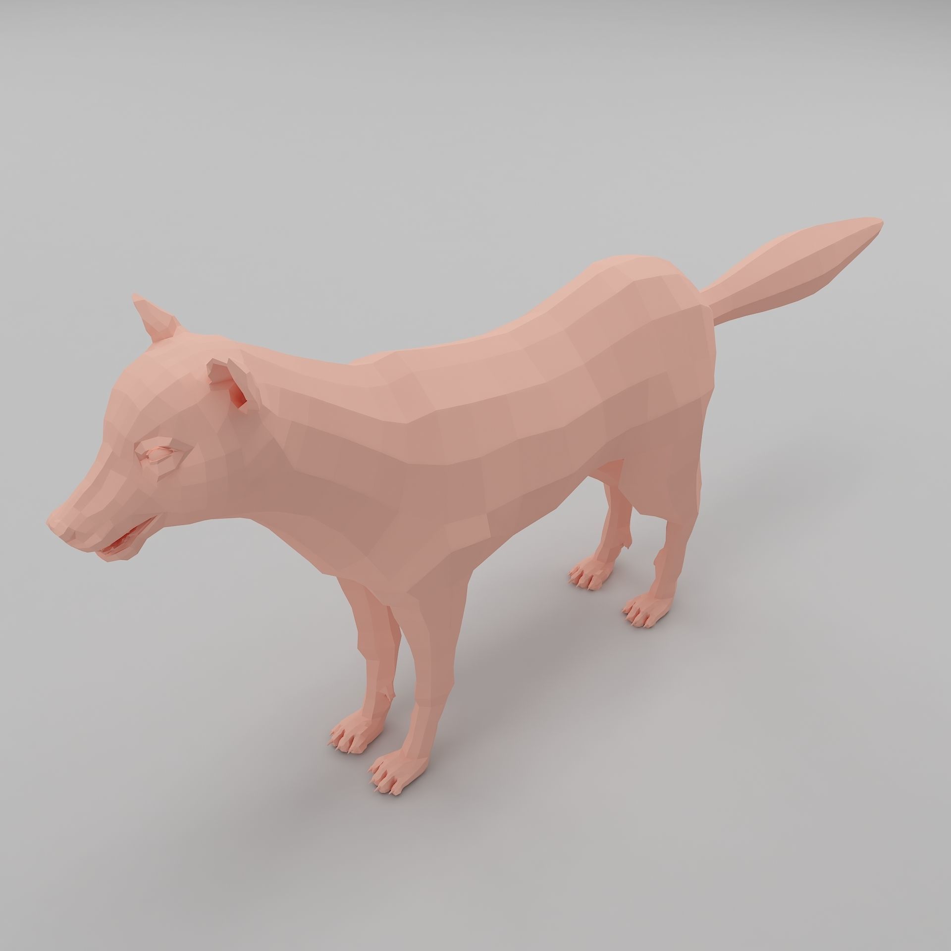 wolf base mesh Low-poly 3D model_1
