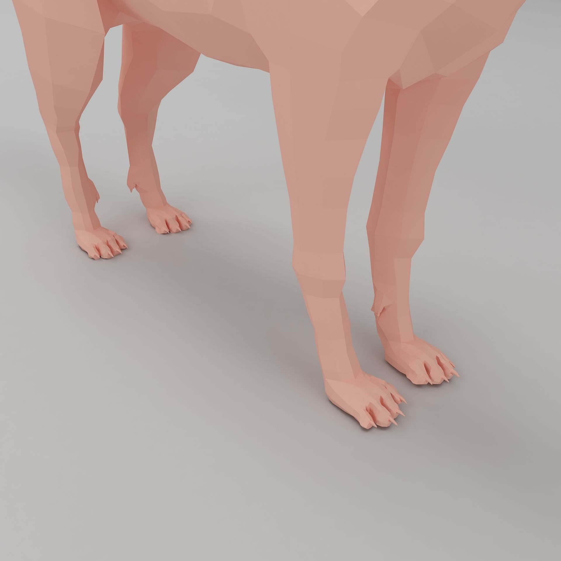 wolf base mesh Low-poly 3D model_9