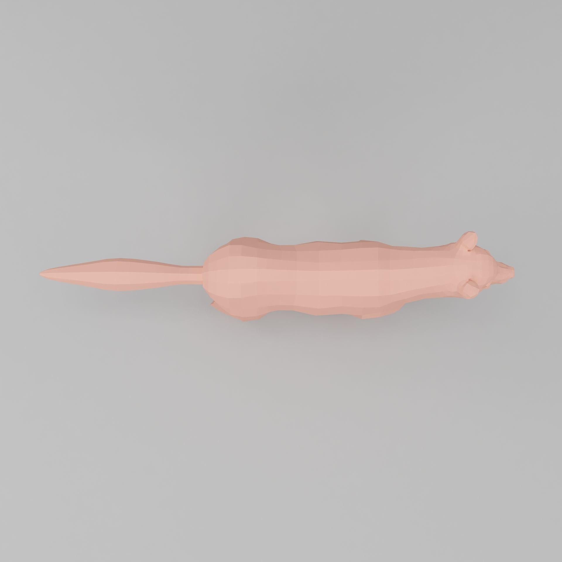 wolf base mesh Low-poly 3D model_7