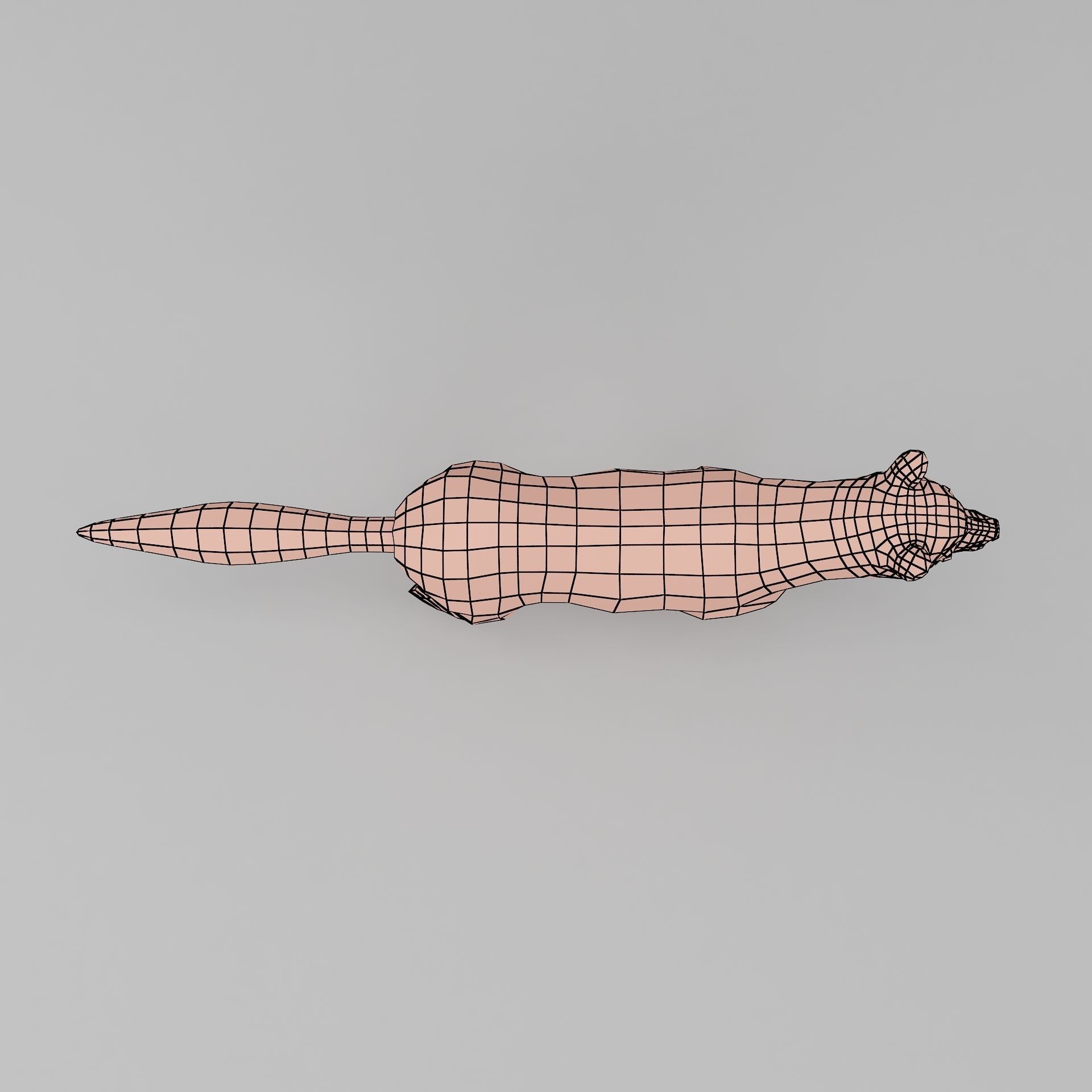 wolf base mesh Low-poly 3D model_6
