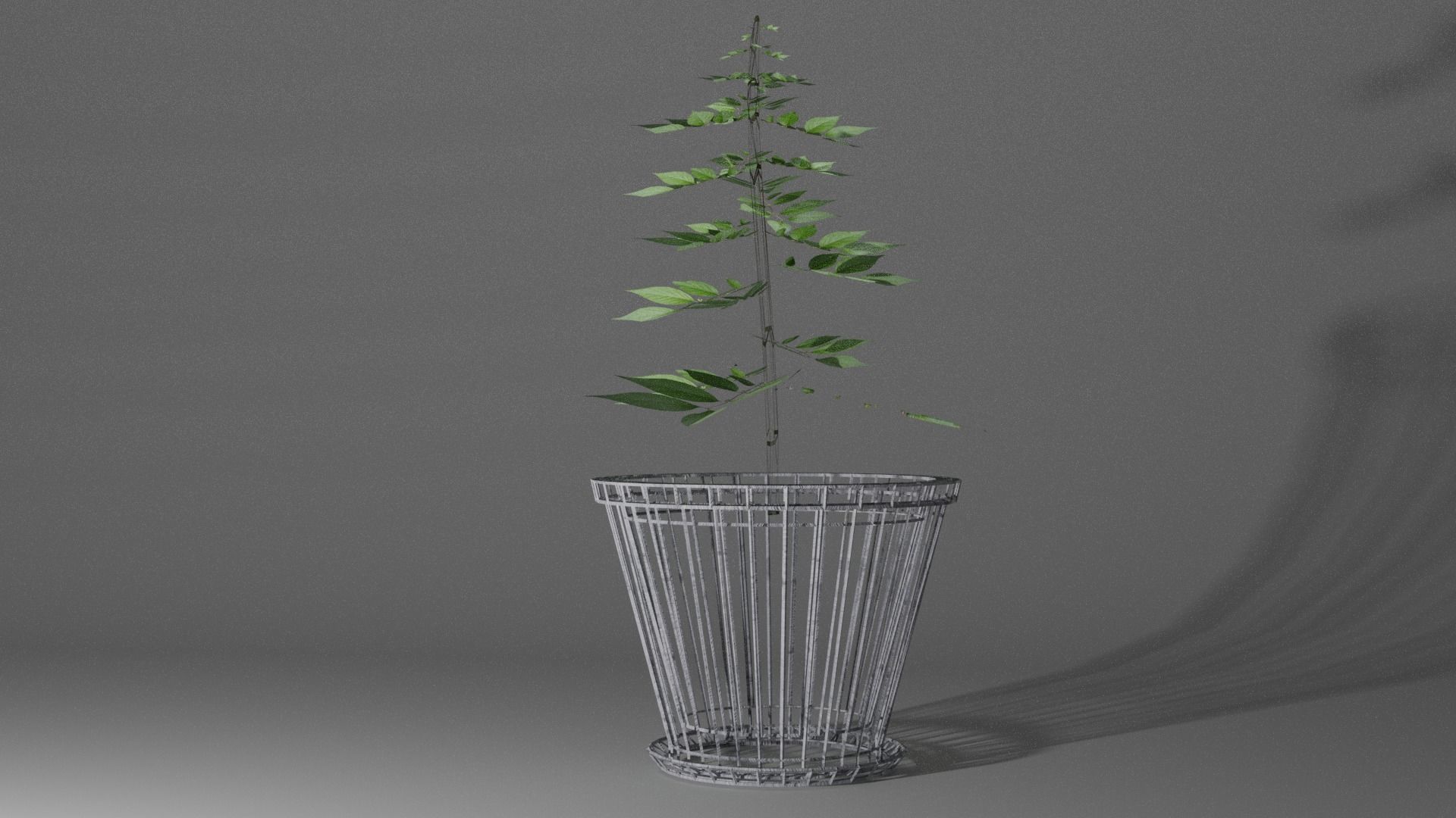 Pot And Plant Free low-poly 3D model_9