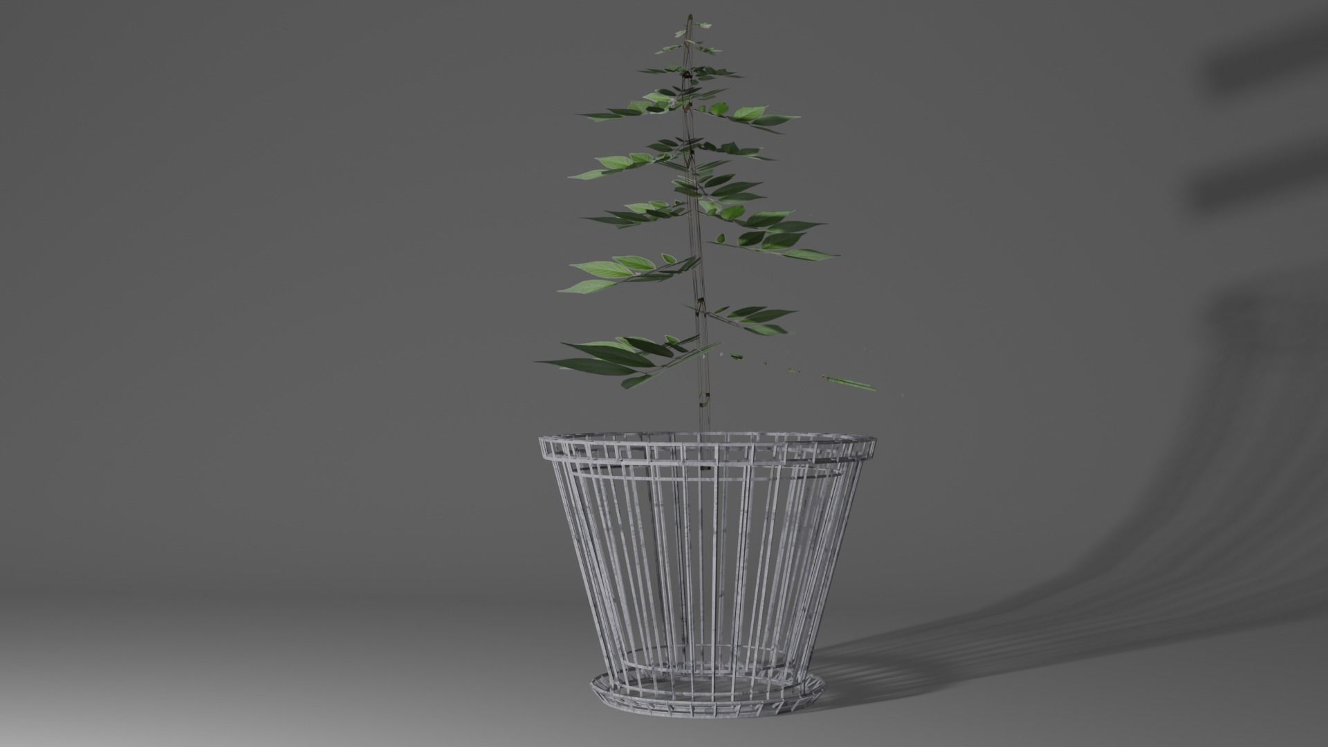 Pot And Plant Free low-poly 3D model_10
