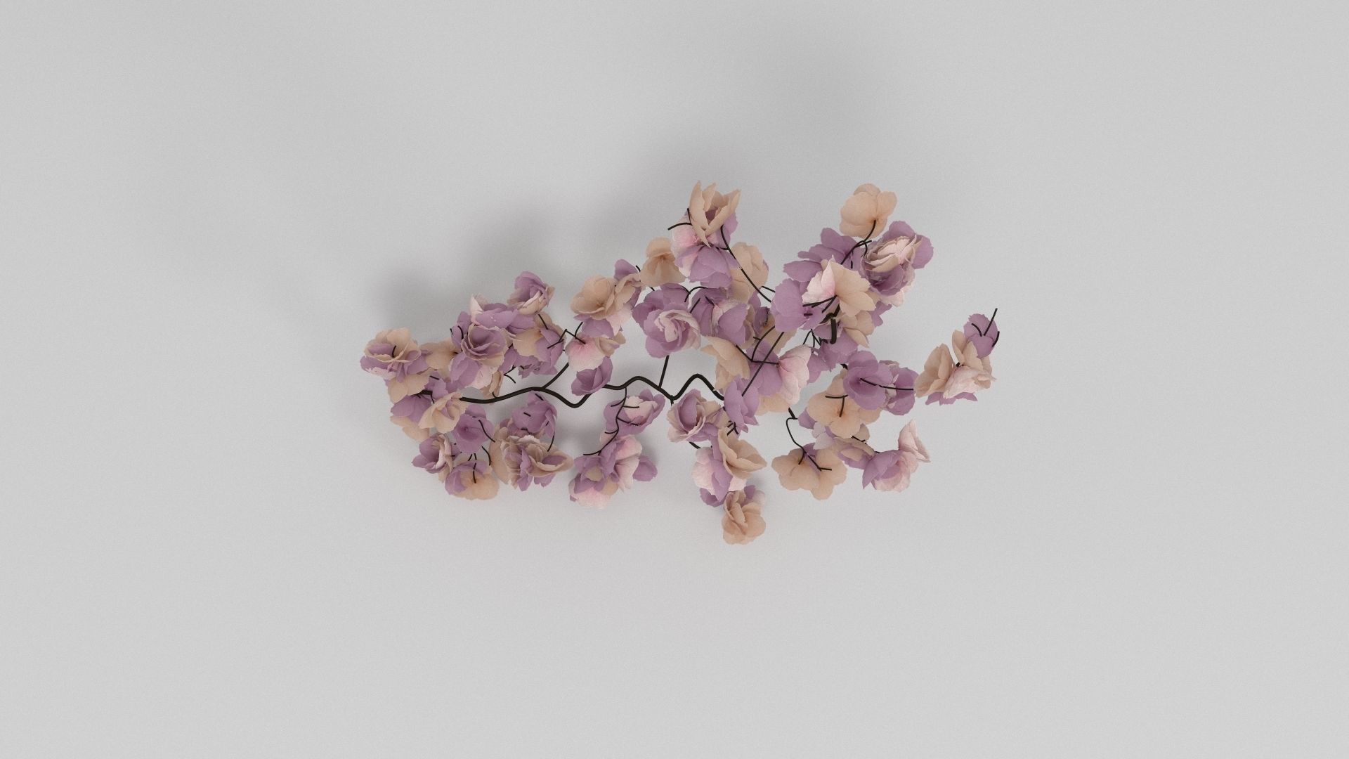 Crepe Paper Blossom Branch 3D model_1