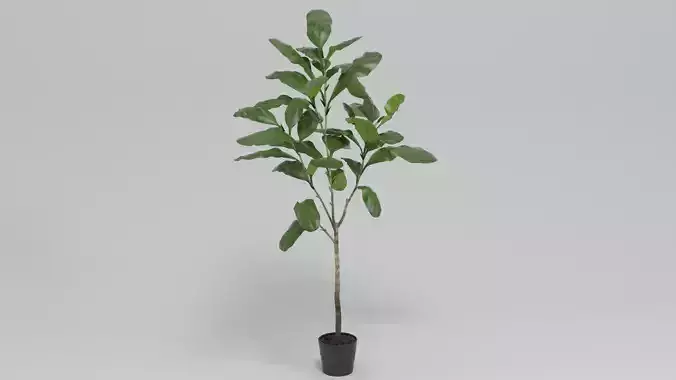 Faux Fiddle Leaf Fig Tree 7