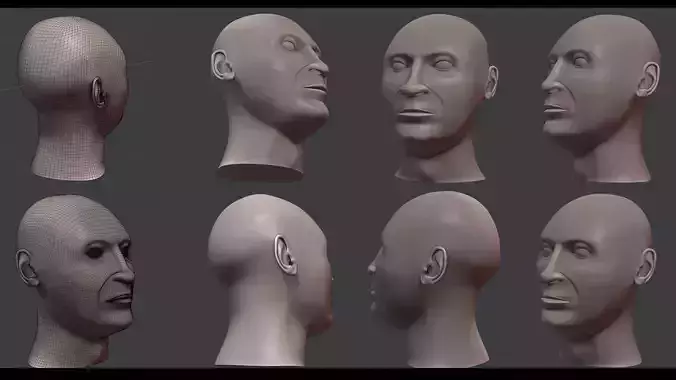 Male Head Base Mesh Free 3D model