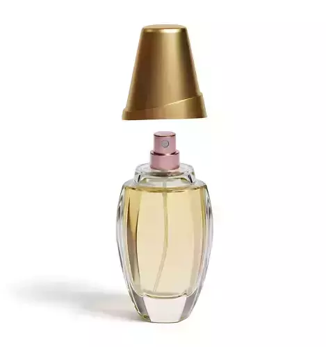 Large Perfume 3D Model 3D model