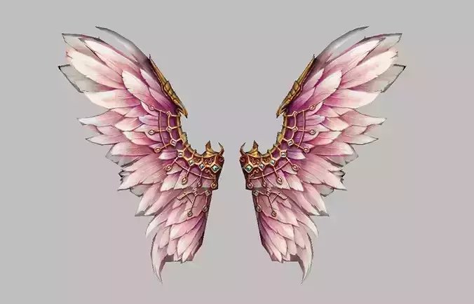 Custom Wings