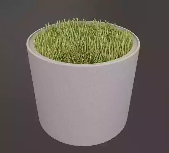 Concrete Pipe Pots with Grass 800mm Low-poly 3D model