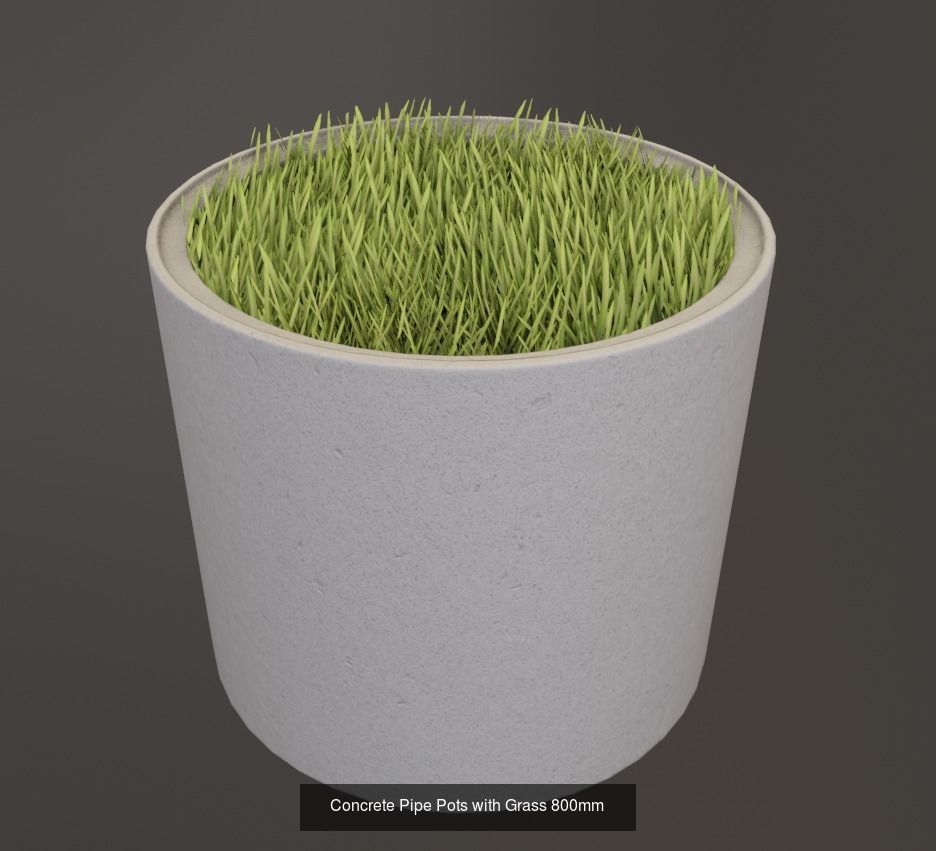 Concrete Pipe Pots with Grass 3D Model Collection_4