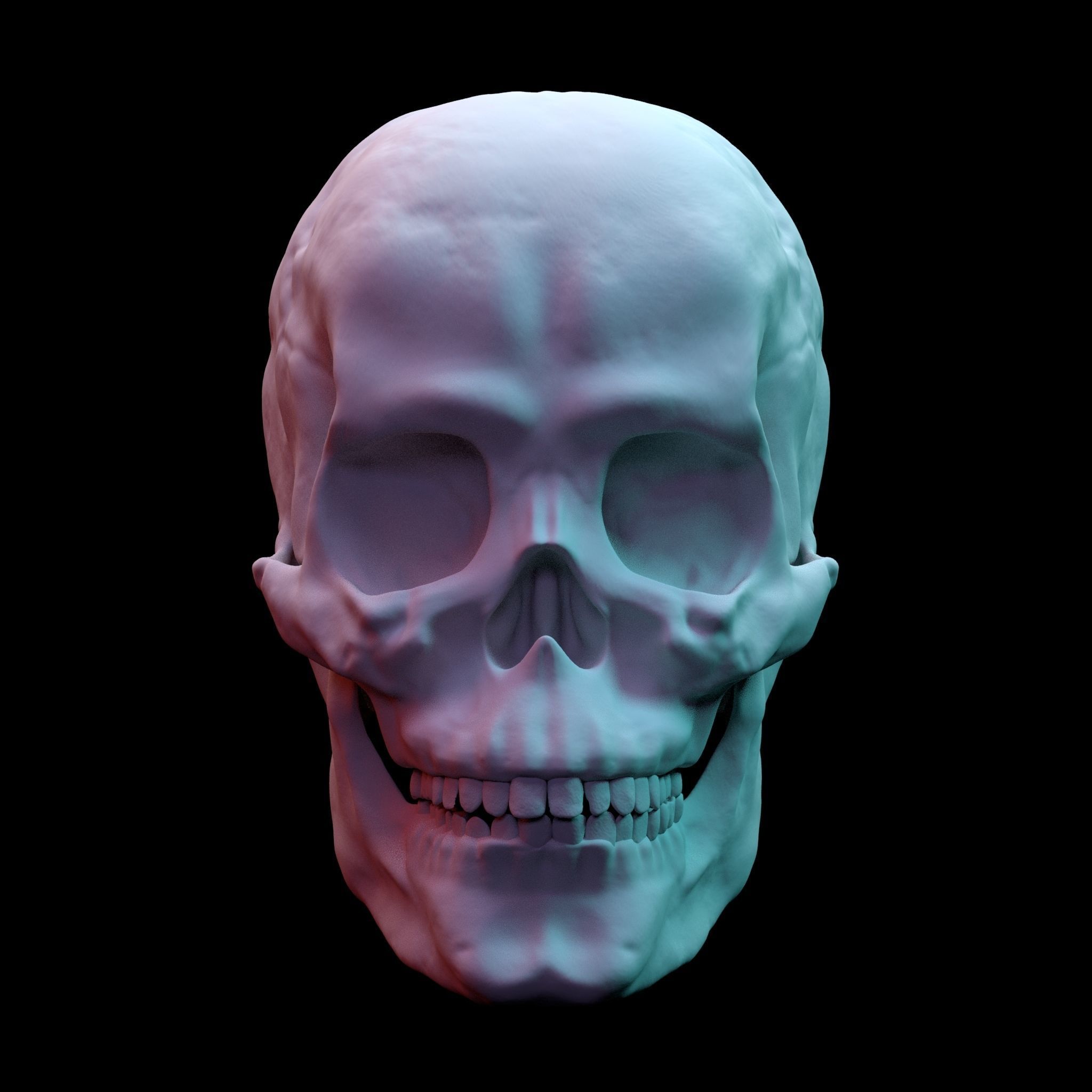 Anatomically Correct Skull 3D model_2