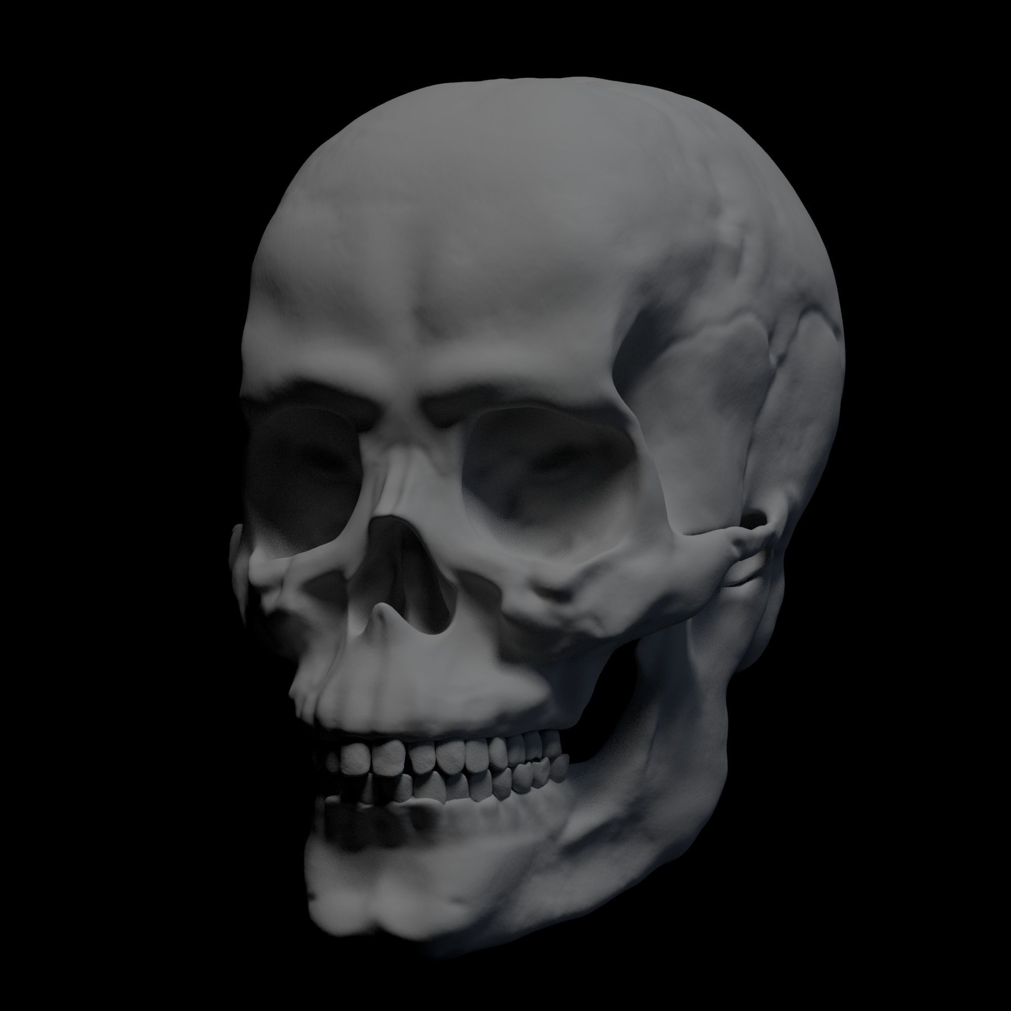 Anatomically Correct Skull 3D model_1