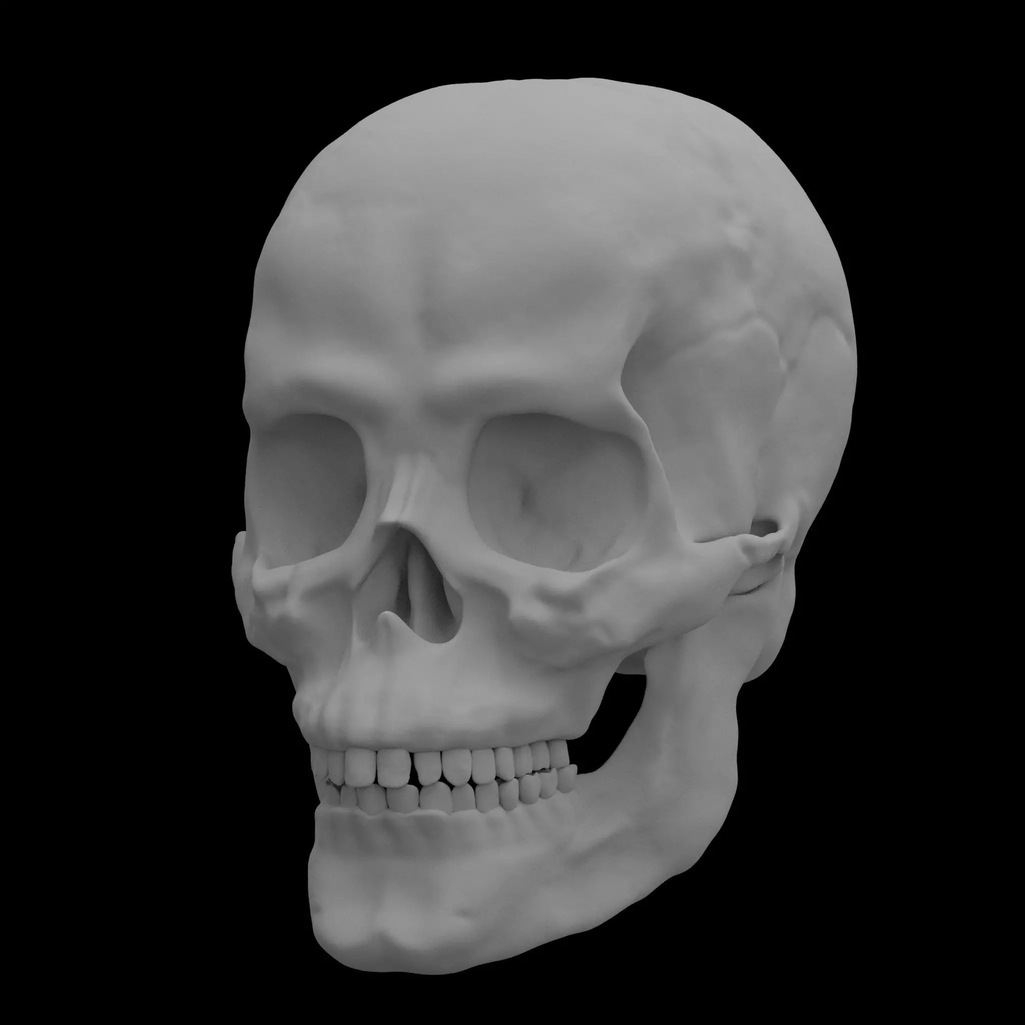 Anatomically Correct Skull 3D model_0