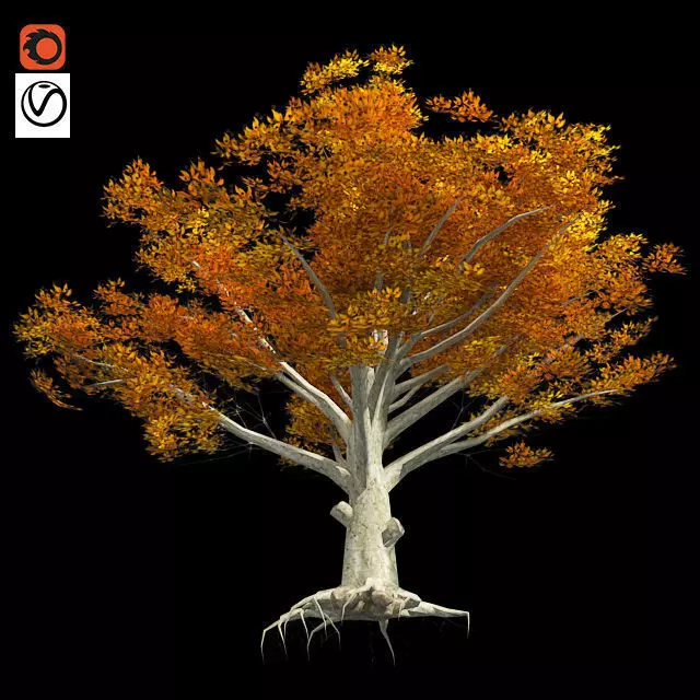 American Beech Fall Tree Low-poly 3D model_0