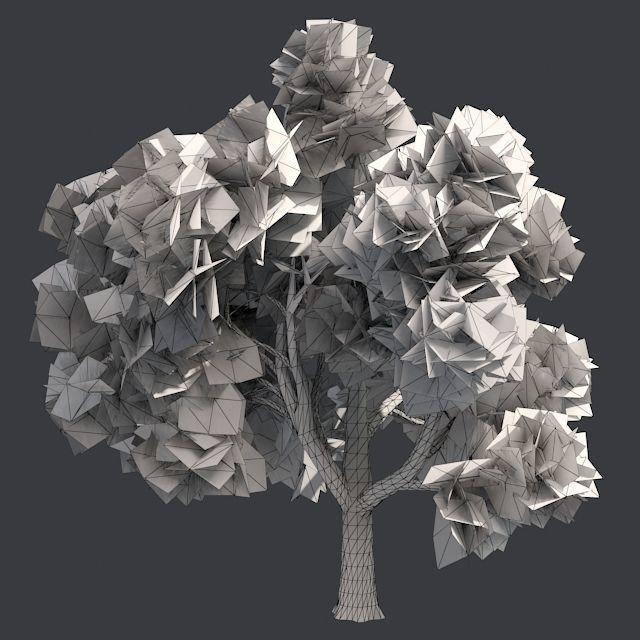 Amur Cork Tree Low-poly 3D model_5