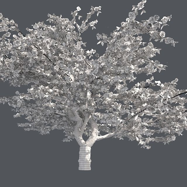 Cherry Blossom Tree Low-poly 3D model_4