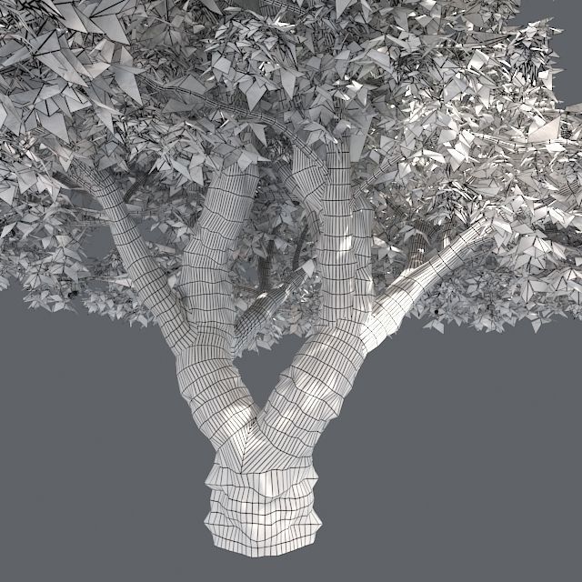 Cherry Tree Low-poly 3D model_4