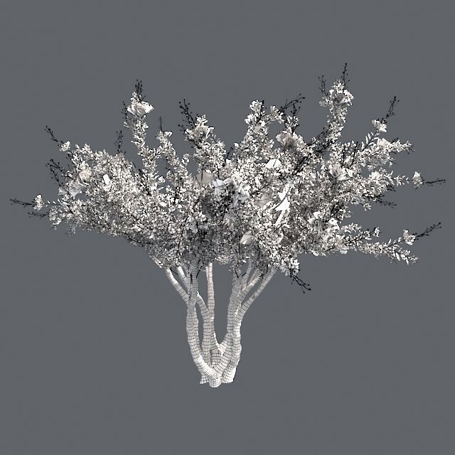 Crape Myrtle Tree Low-poly 3D model_4