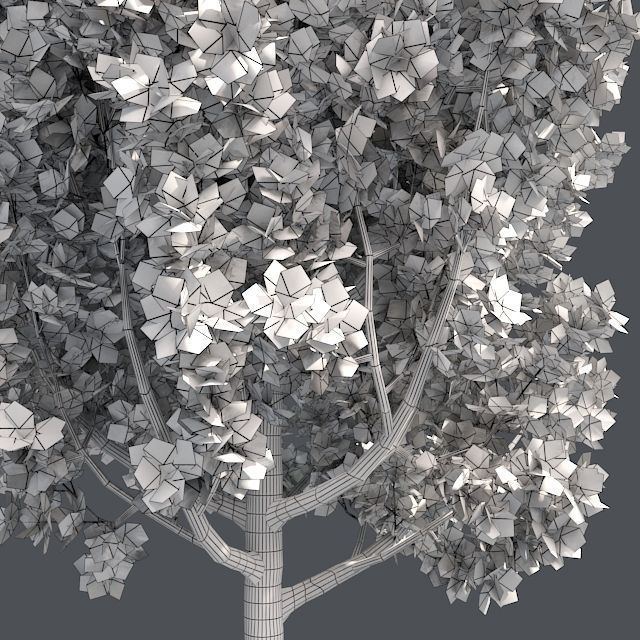 Cypress Oak Tree Low-poly 3D model_4