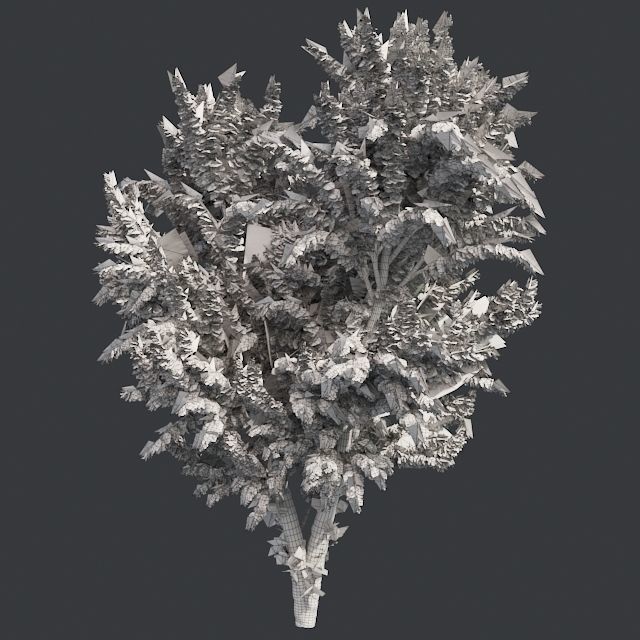 White Birch Tree Low-poly 3D model_5