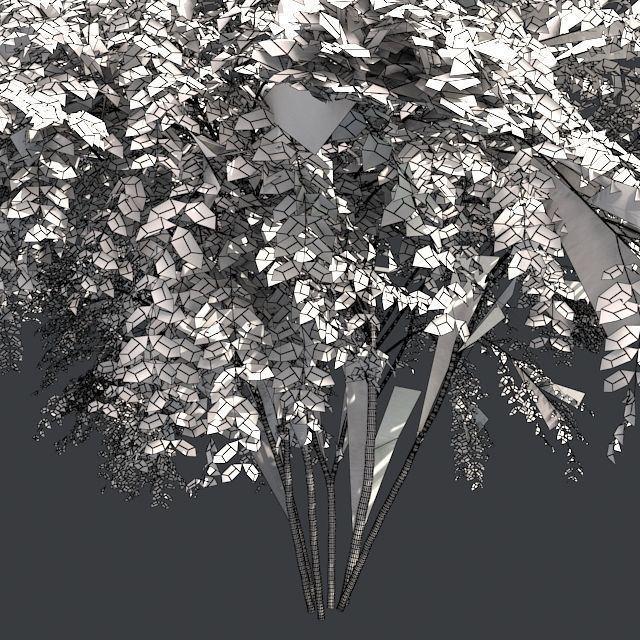 Japanese Angelica Tree Low-poly 3D model_5