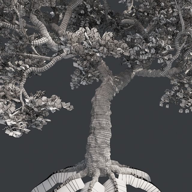 Japanese Maple Tree Low-poly 3D model_5
